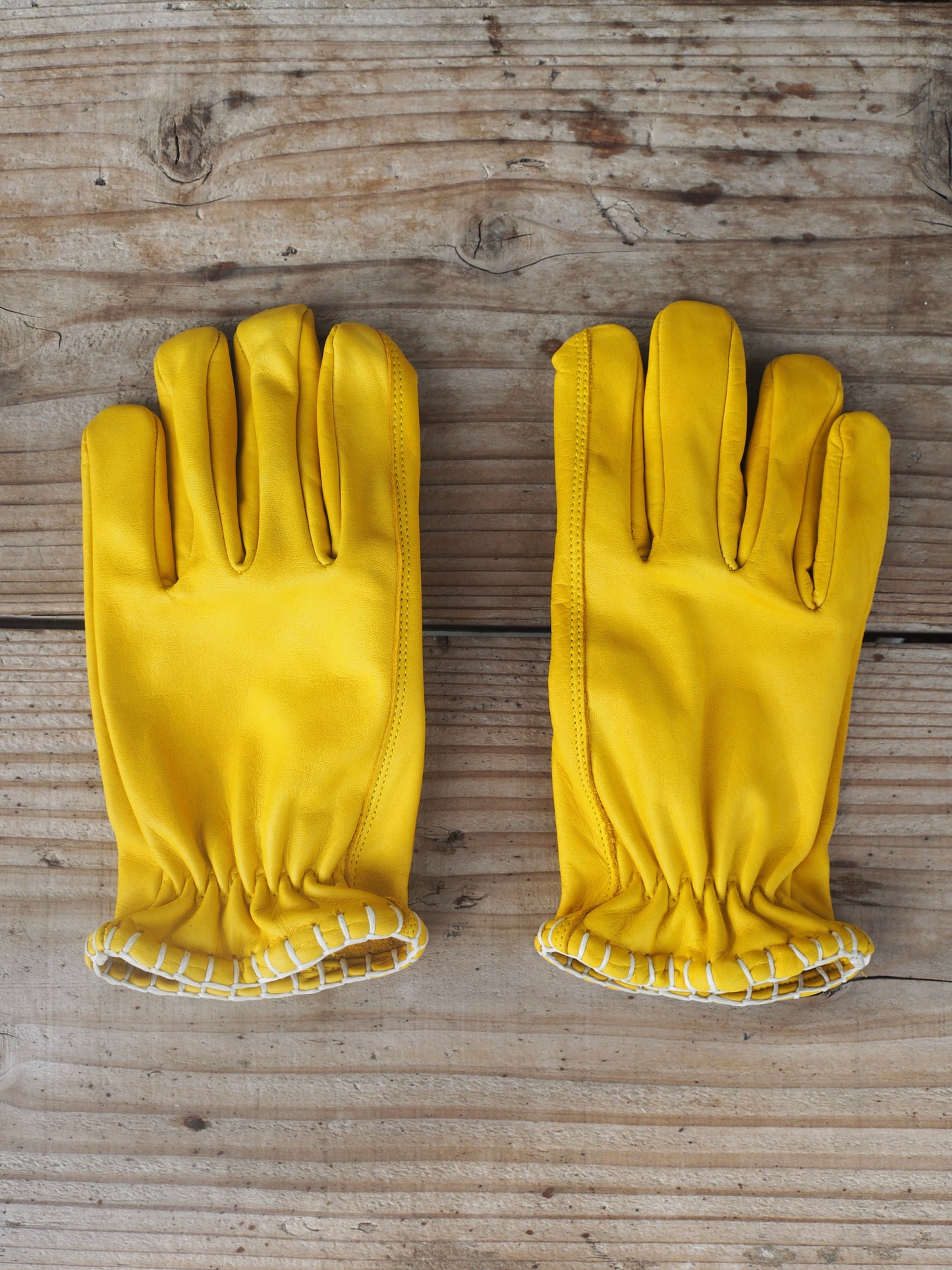 Signal Glove シグナルグローブ